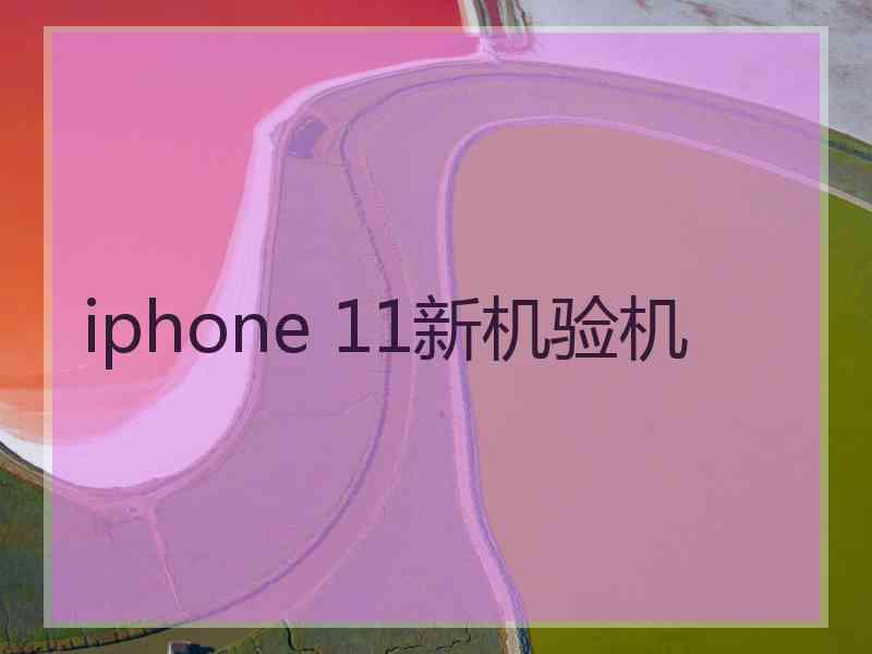 iphone 11新机验机