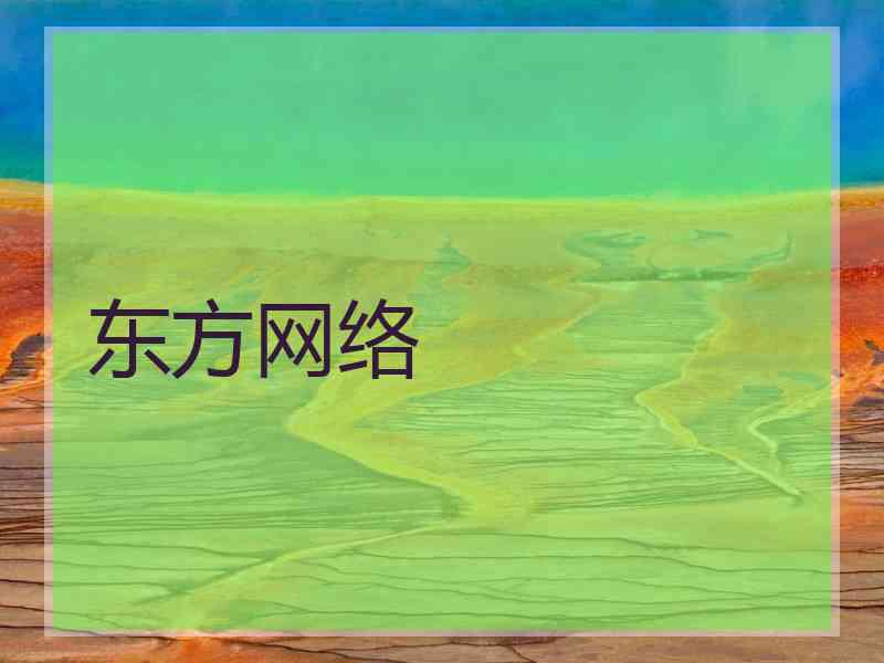 东方网络