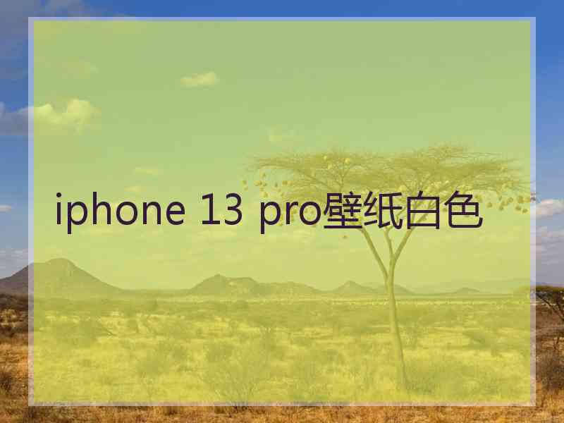 iphone 13 pro壁纸白色