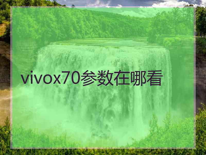 vivox70参数在哪看