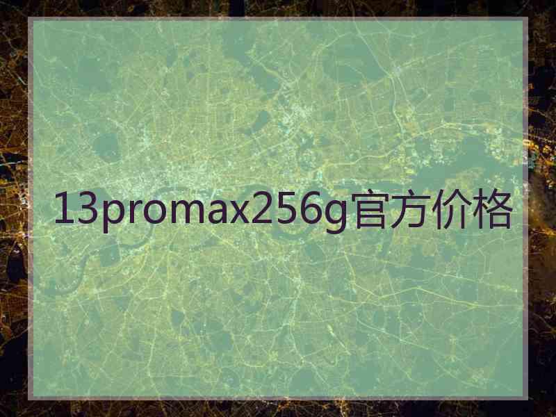 13promax256g官方价格