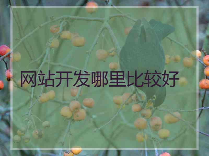 网站开发哪里比较好