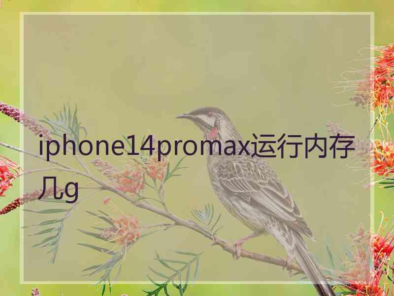 iphone14promax运行内存几g