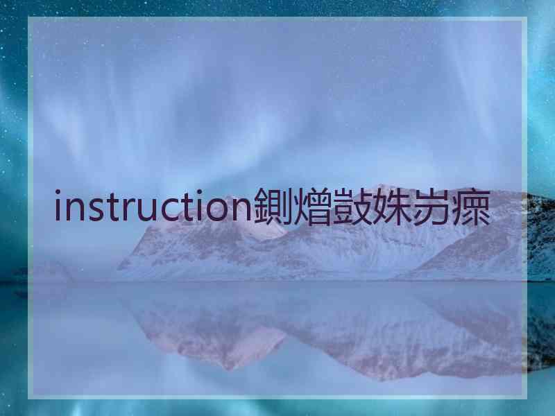 instruction鍘熷敱姝岃瘝