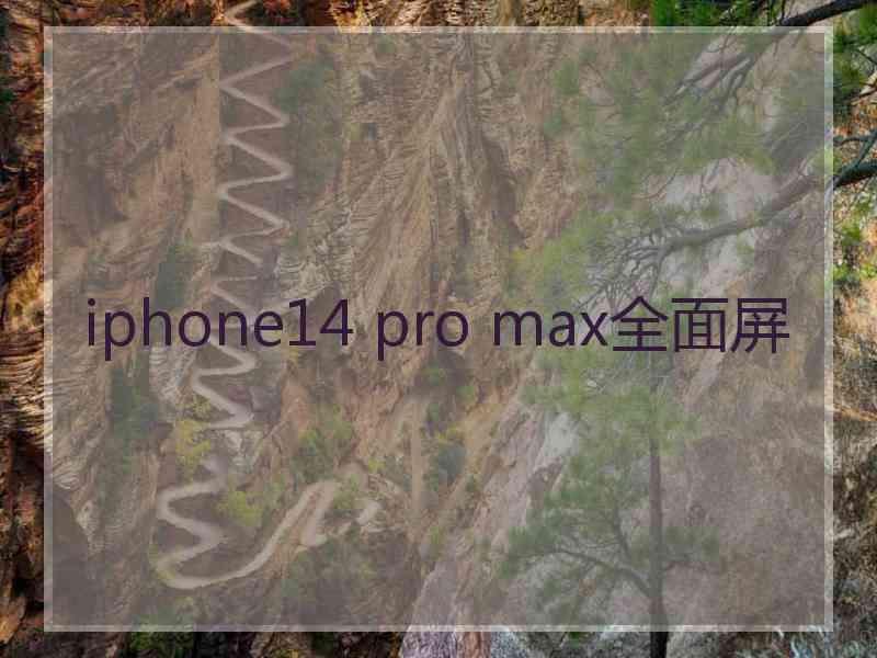 iphone14 pro max全面屏