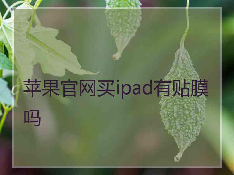 苹果官网买ipad有贴膜吗