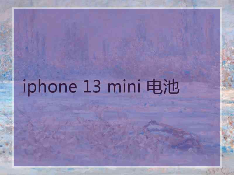 iphone 13 mini 电池