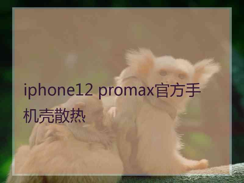 iphone12 promax官方手机壳散热