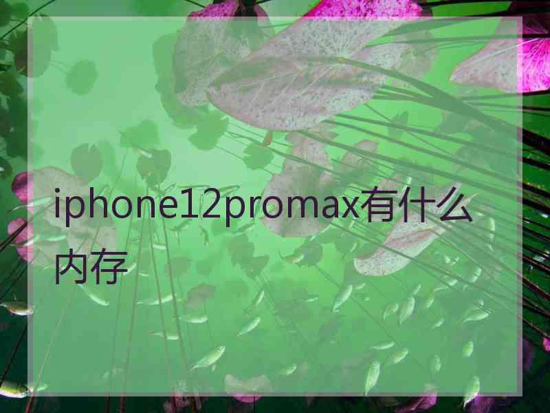 iphone12promax有什么内存