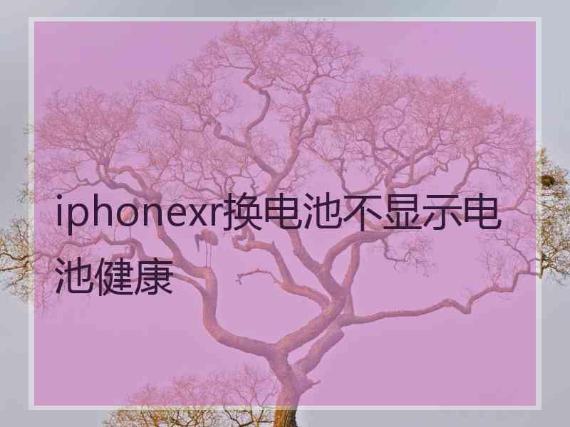 iphonexr换电池不显示电池健康