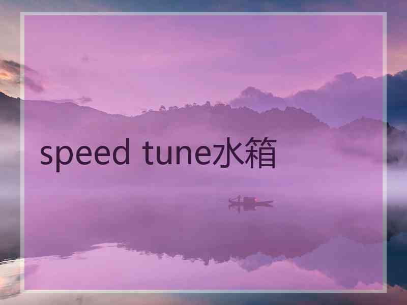 speed tune水箱