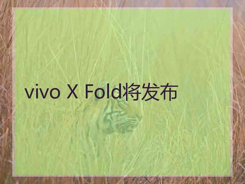 vivo X Fold将发布