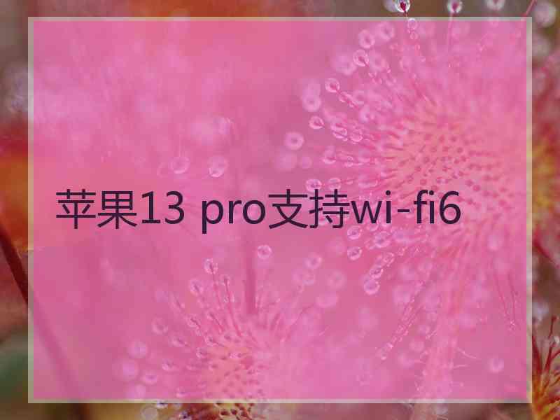 苹果13 pro支持wi-fi6