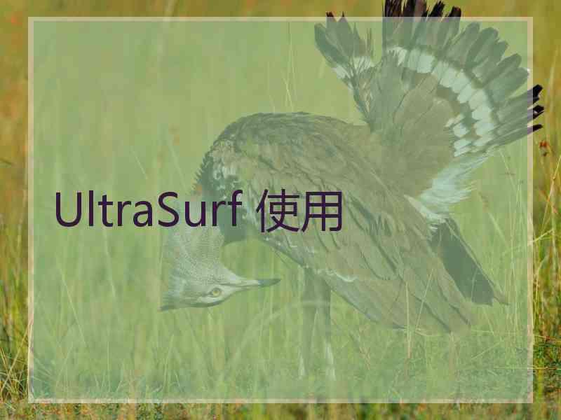 UltraSurf 使用