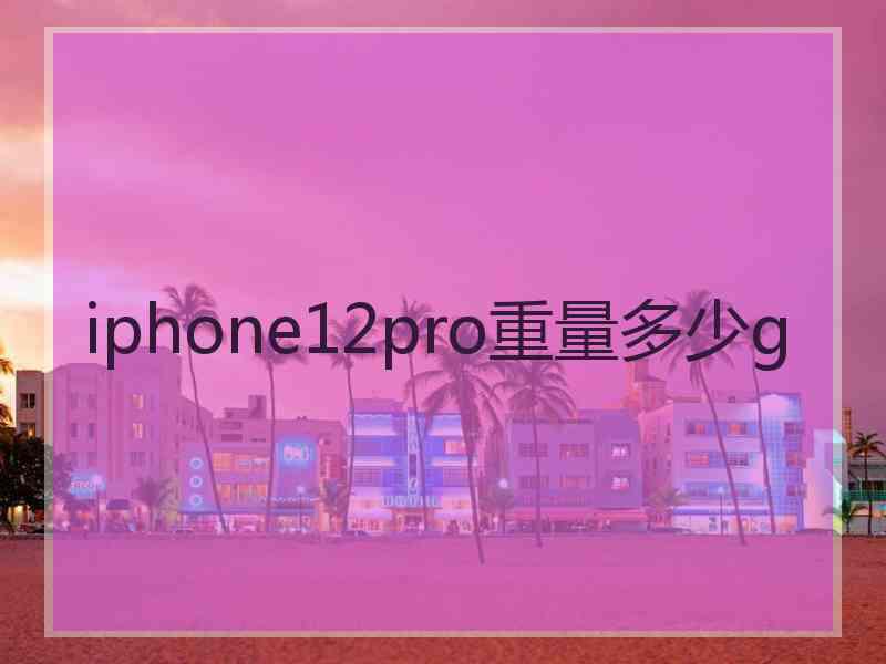 iphone12pro重量多少g