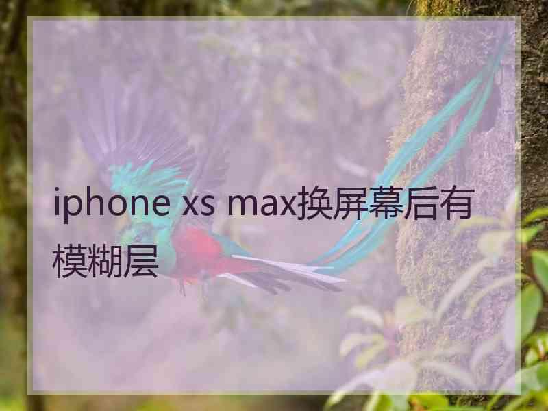 iphone xs max换屏幕后有模糊层