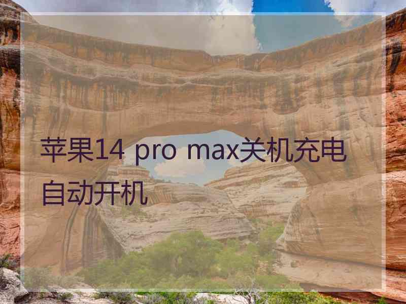 苹果14 pro max关机充电自动开机