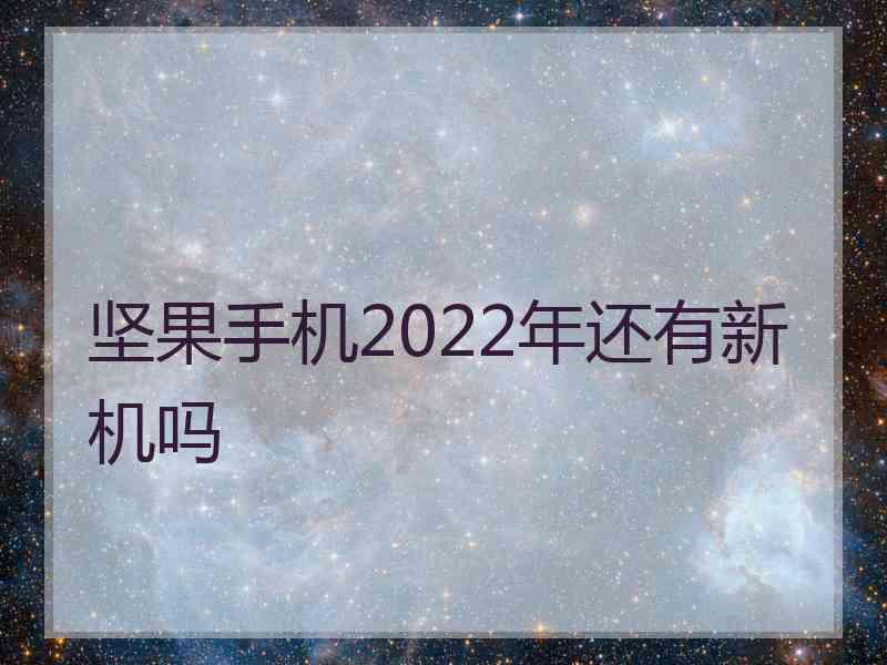 坚果手机2022年还有新机吗