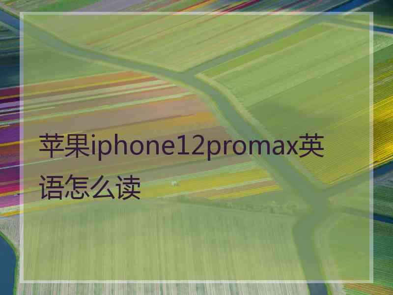 苹果iphone12promax英语怎么读