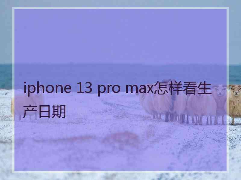 iphone 13 pro max怎样看生产日期