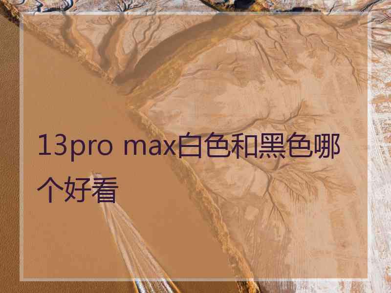 13pro max白色和黑色哪个好看