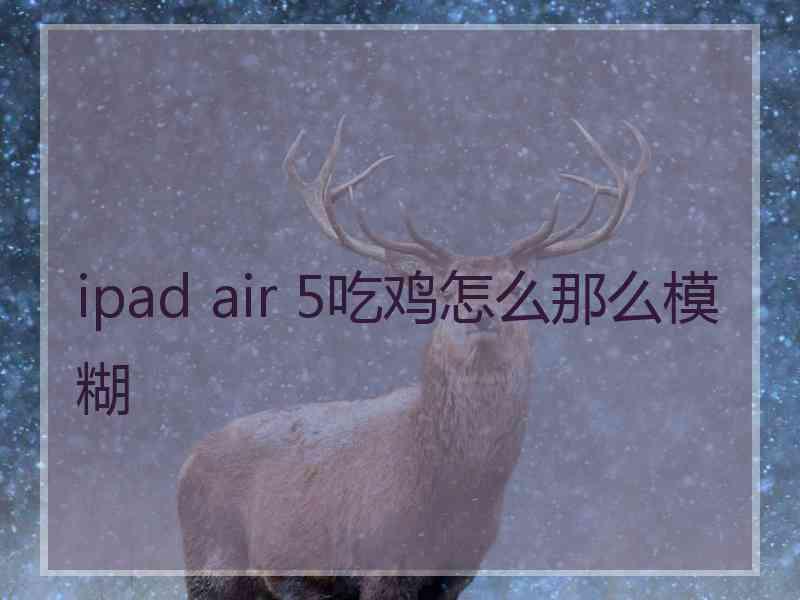 ipad air 5吃鸡怎么那么模糊