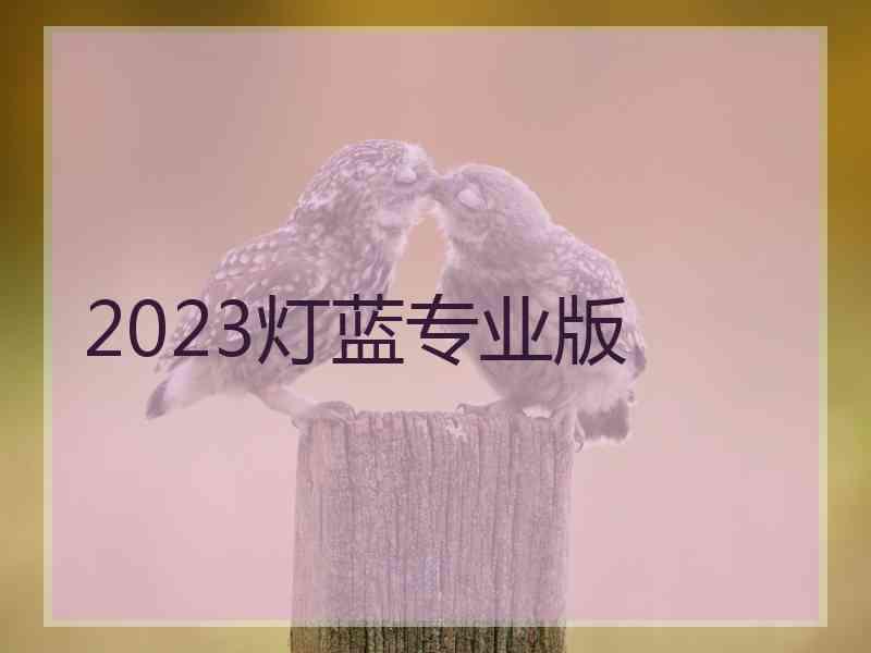 2023灯蓝专业版