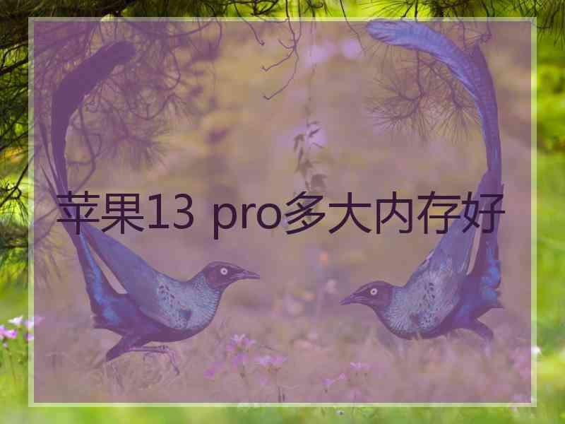 苹果13 pro多大内存好