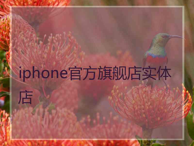 iphone官方旗舰店实体店