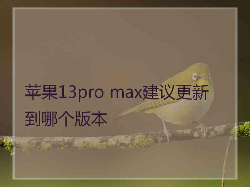 苹果13pro max建议更新到哪个版本