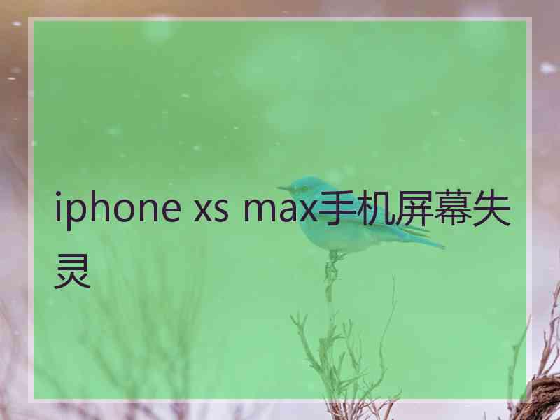 iphone xs max手机屏幕失灵