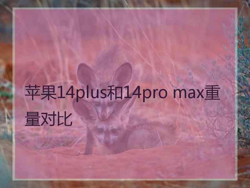 苹果14plus和14pro max重量对比