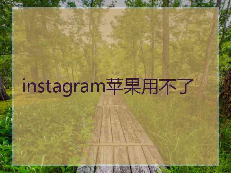 instagram苹果用不了