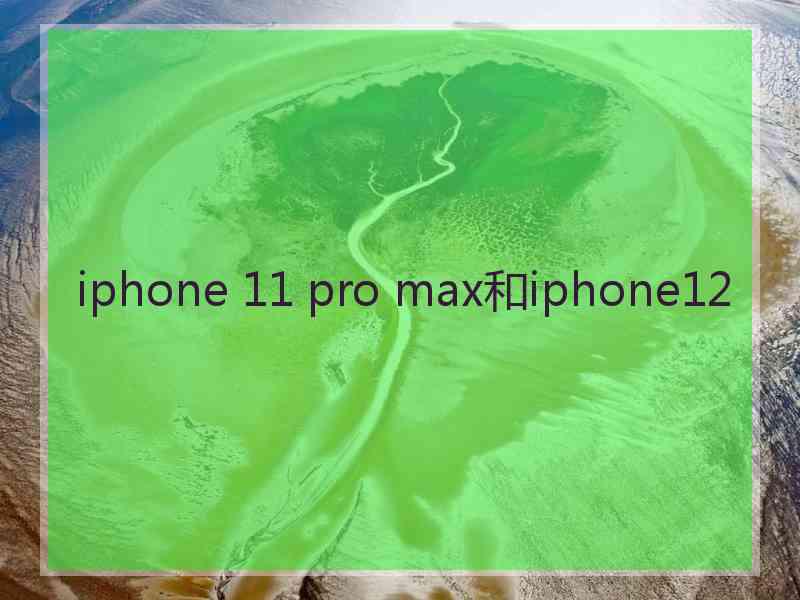 iphone 11 pro max和iphone12