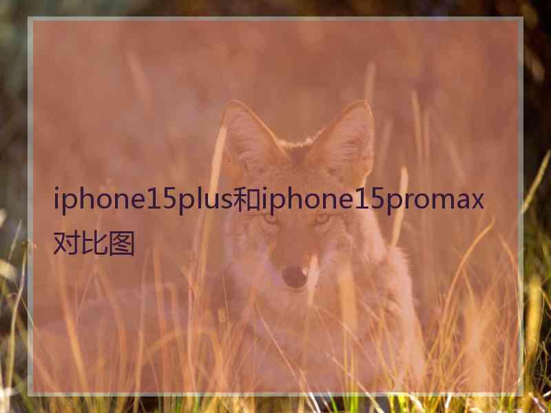 iphone15plus和iphone15promax对比图