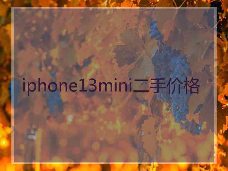 iphone13mini二手价格