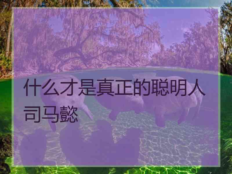 什么才是真正的聪明人司马懿