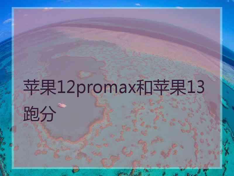 苹果12promax和苹果13跑分