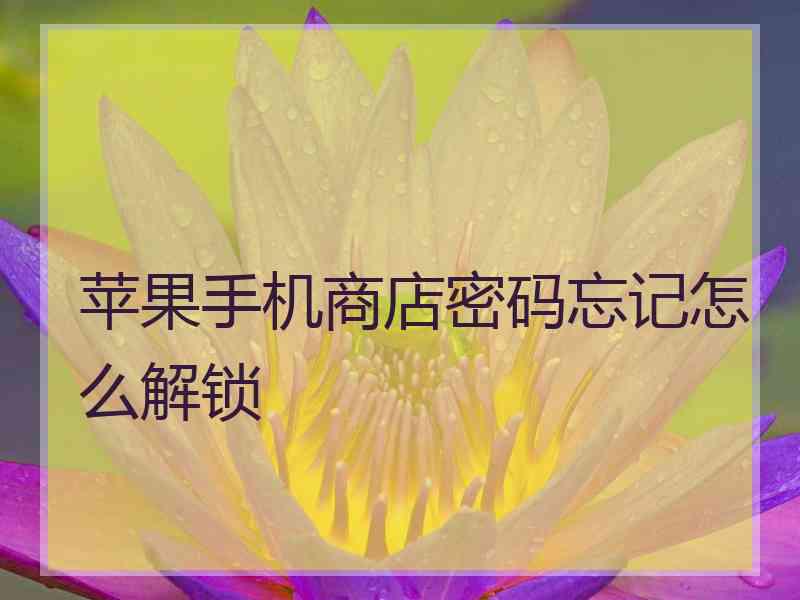 苹果手机商店密码忘记怎么解锁