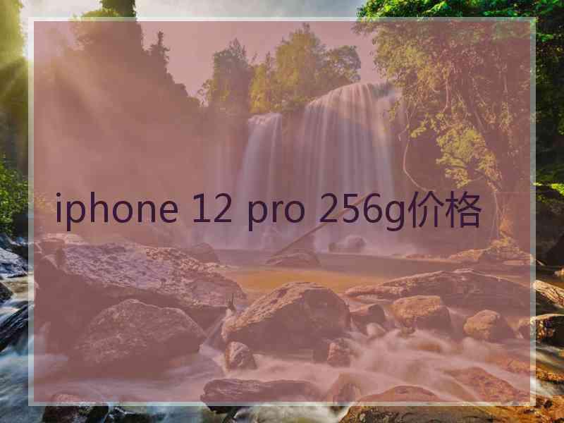 iphone 12 pro 256g价格