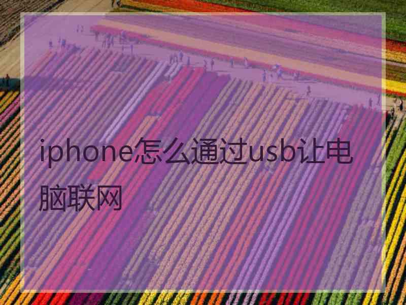 iphone怎么通过usb让电脑联网