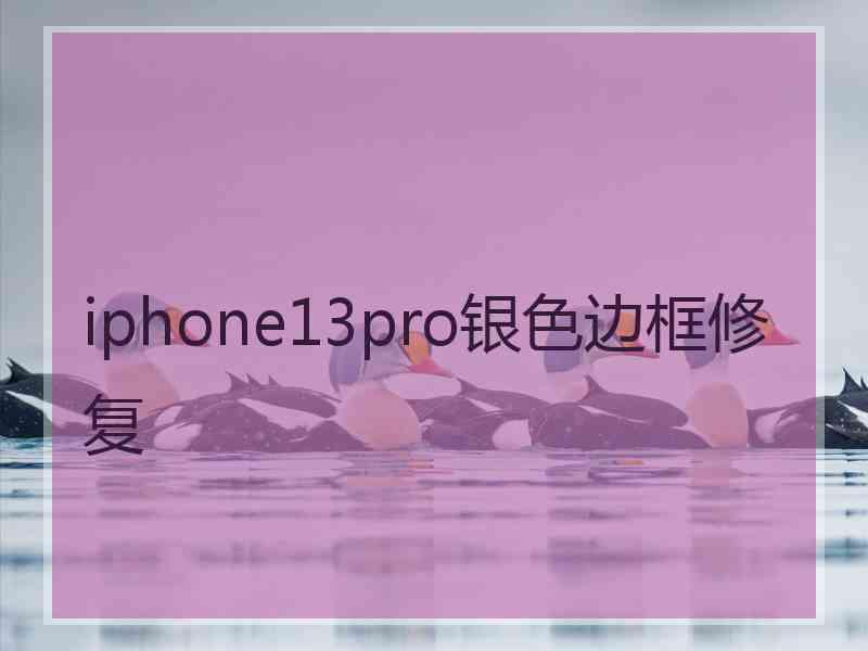 iphone13pro银色边框修复