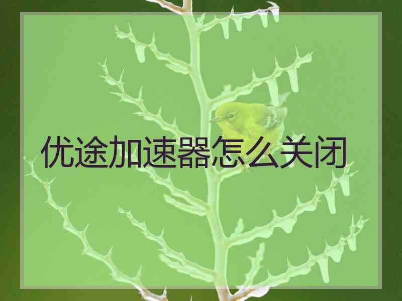 优途加速器怎么关闭