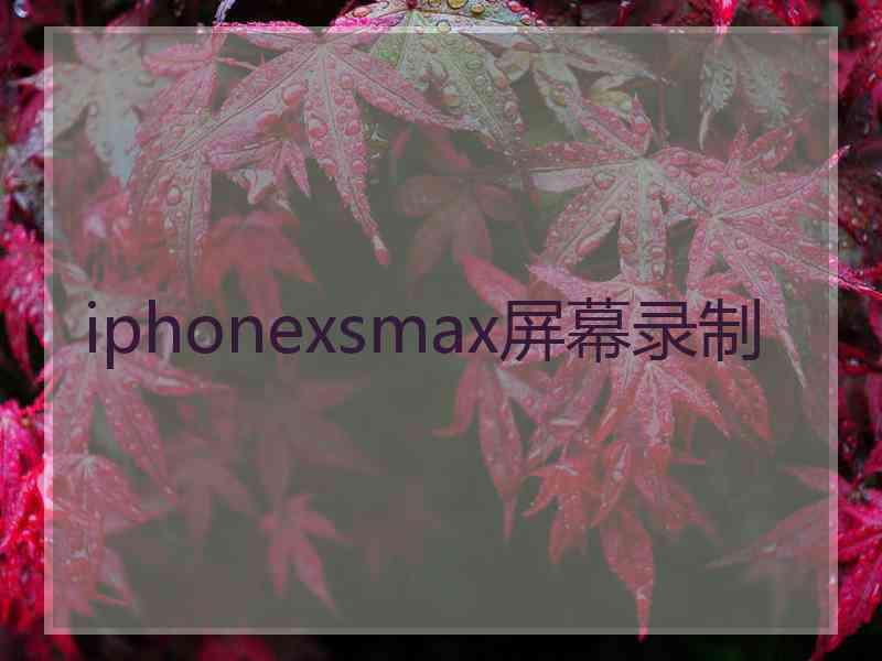 iphonexsmax屏幕录制