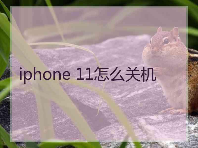 iphone 11怎么关机