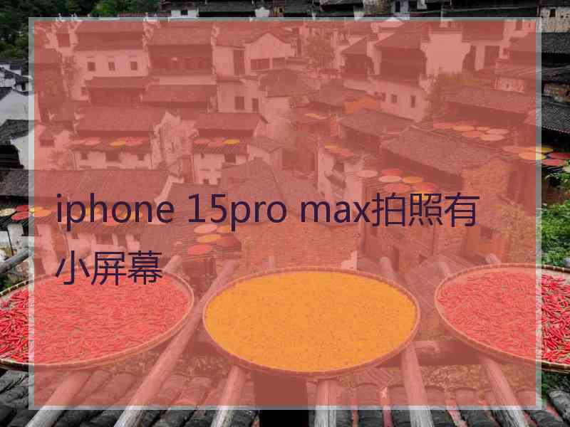 iphone 15pro max拍照有小屏幕