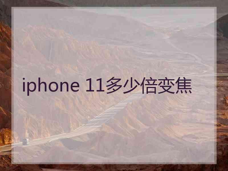 iphone 11多少倍变焦