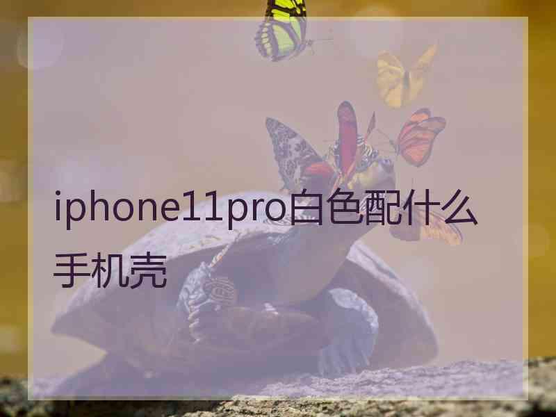 iphone11pro白色配什么手机壳