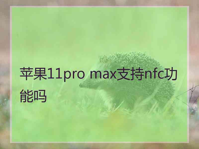 苹果11pro max支持nfc功能吗