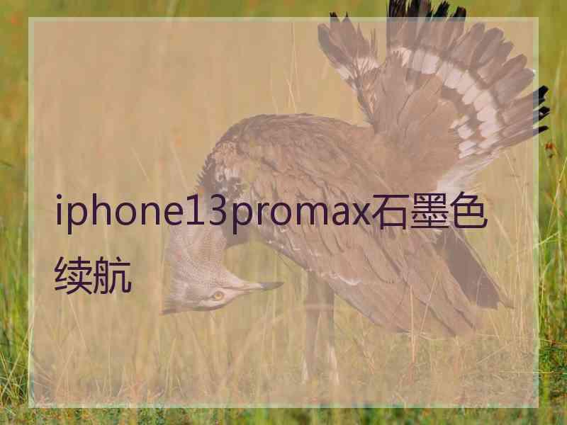 iphone13promax石墨色续航